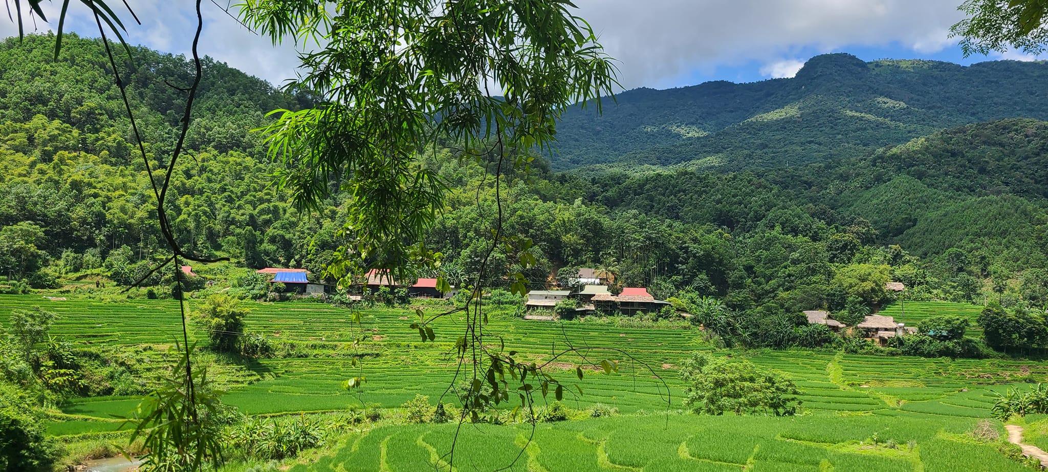 Sapa 1-Day Trek: Deep Immersion Hike through Y Linh Ho Mong, Lao Chai San & Ta Van